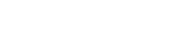 Raise3D